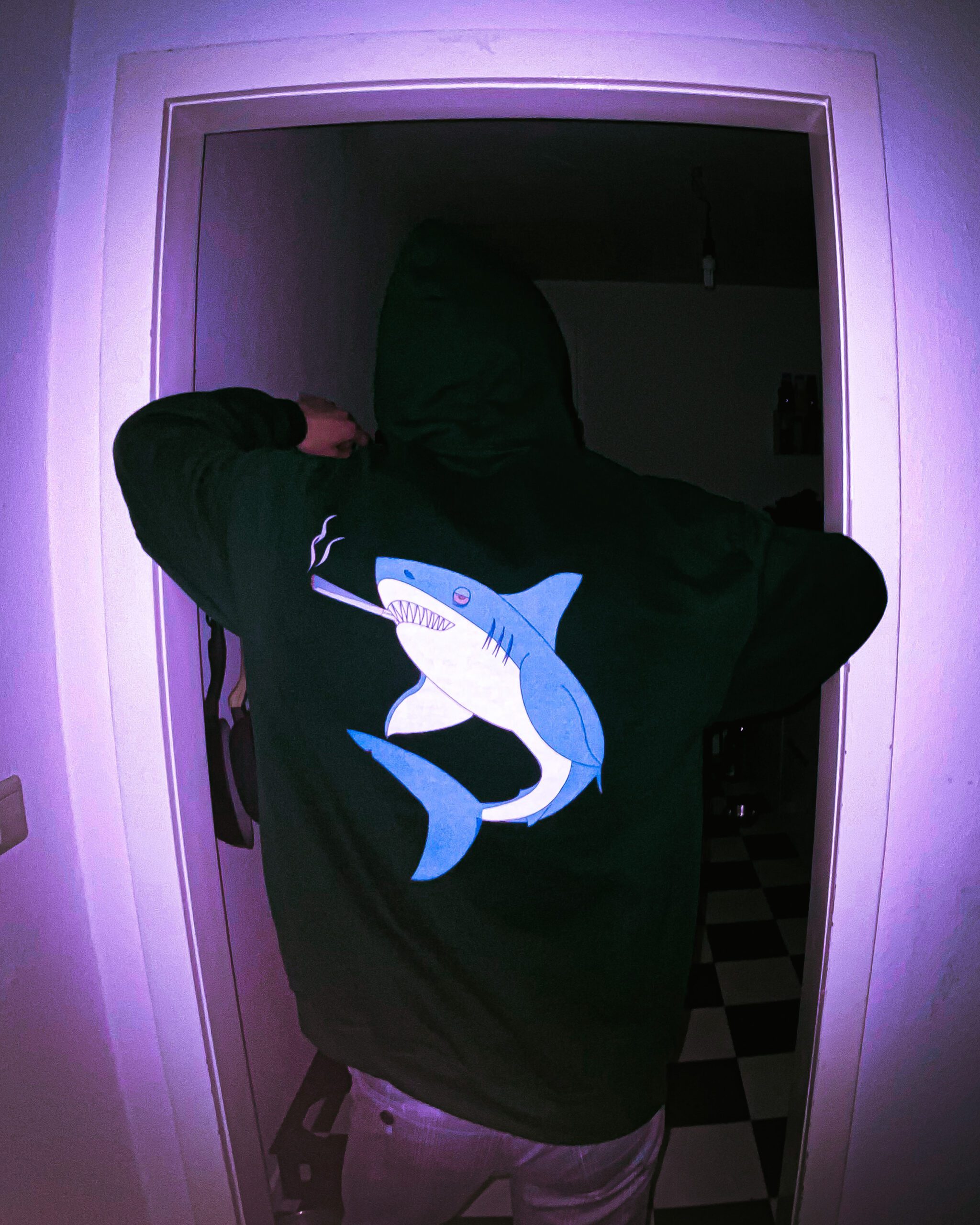 Hi Hai Hoodie